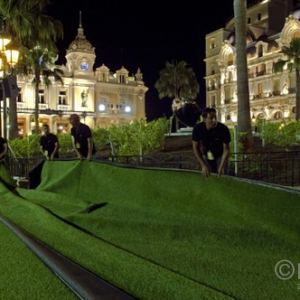 Meticulous-Preparations_jpg